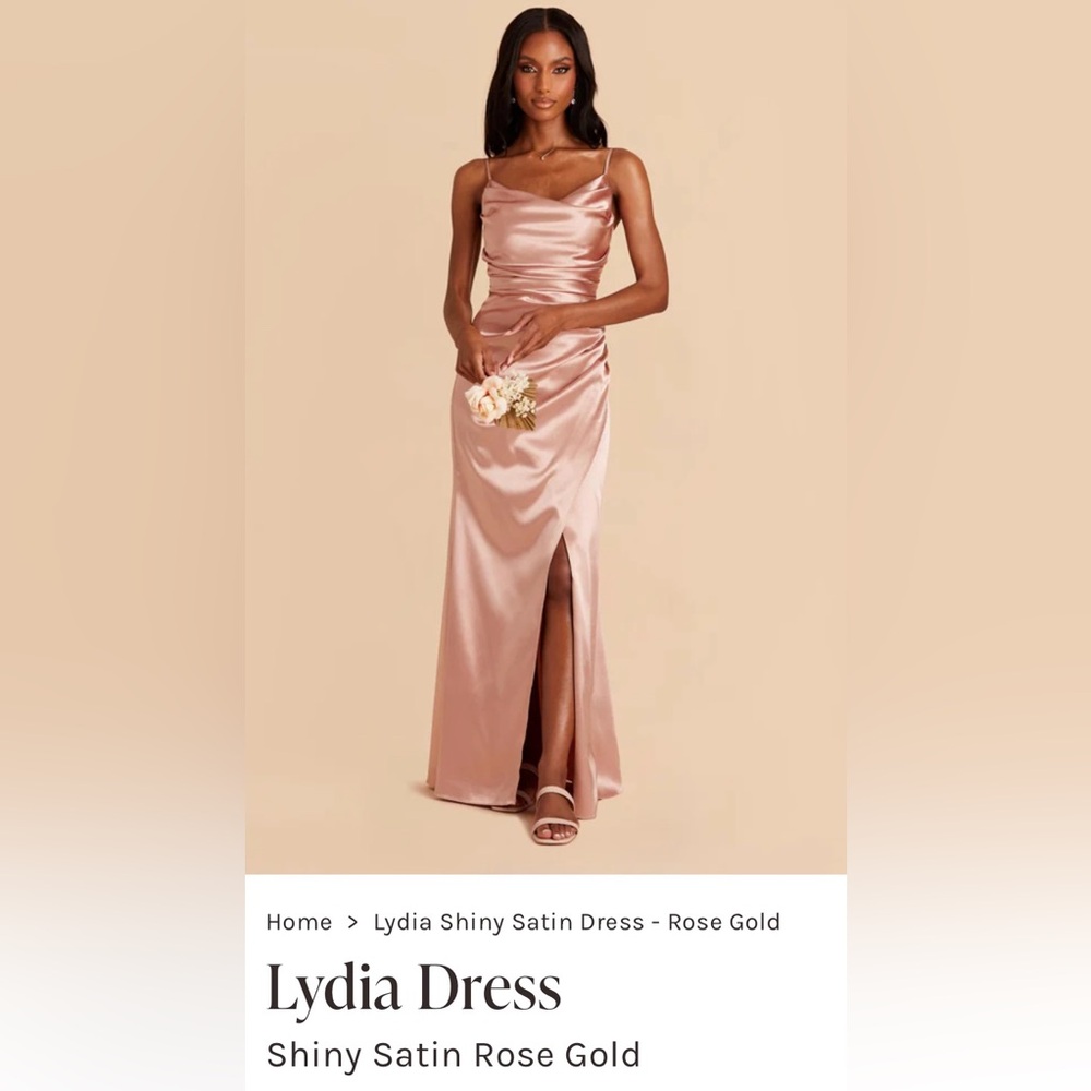 Birdy Grey Lydia Dress - Brand New